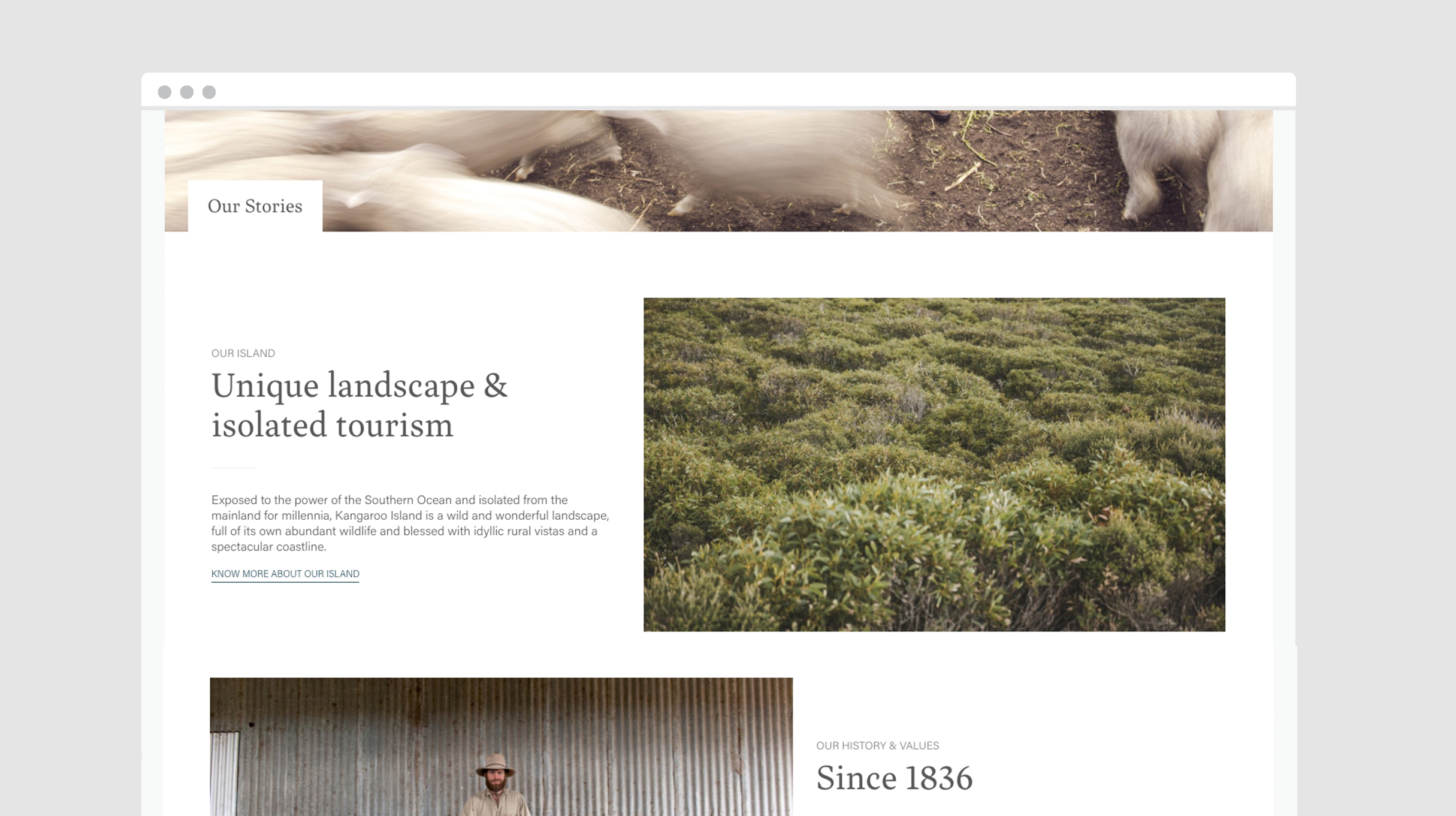 Kangaroo Island Wool - Website - Our Stories