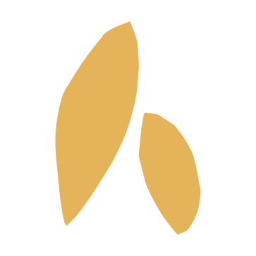 india-dix-symbol
